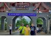 聶羣號"老班章古树"散体的茶2024年(生茶) - древние чайные деревья Лао Бань Чжан