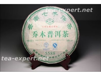 普文"乔木普洱茶5588"饼茶2019年(生茶) Qiao Mu Puer Cha "Высокие чайные деревья"